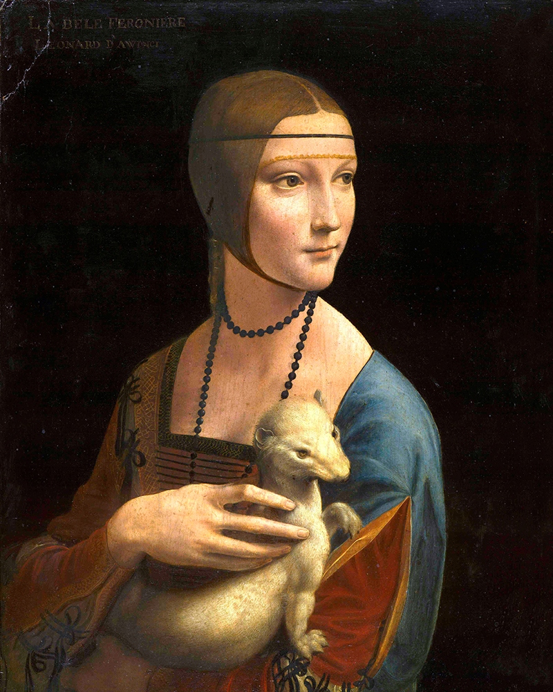 Leonardo da Vinci, Dama z Gronostajem, 40x50 cm