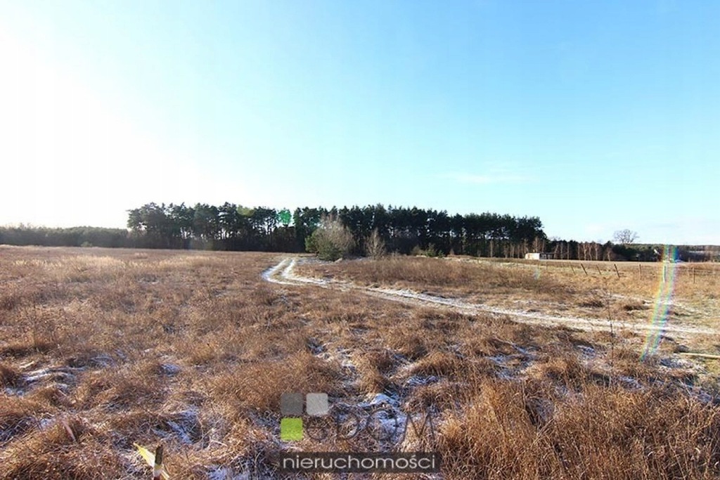 Działka, Ownice, Słońsk (gm.), 5837 m²
