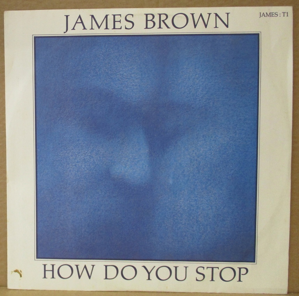 JAMES BROWN HOW DO YOU STOP 12' SINGIEL UK EX+