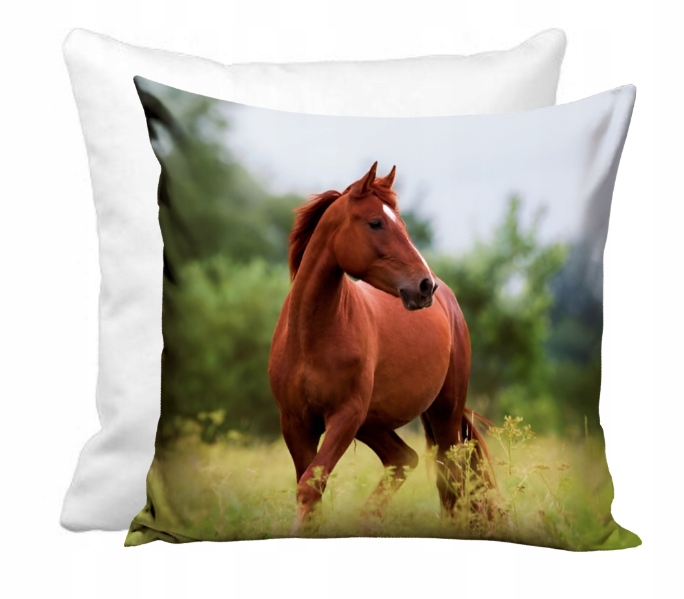 KOŃ Poduszka z poszewka 40x40 jasiek dziecięca BRĄZOWY KONIK KONIE PONY
