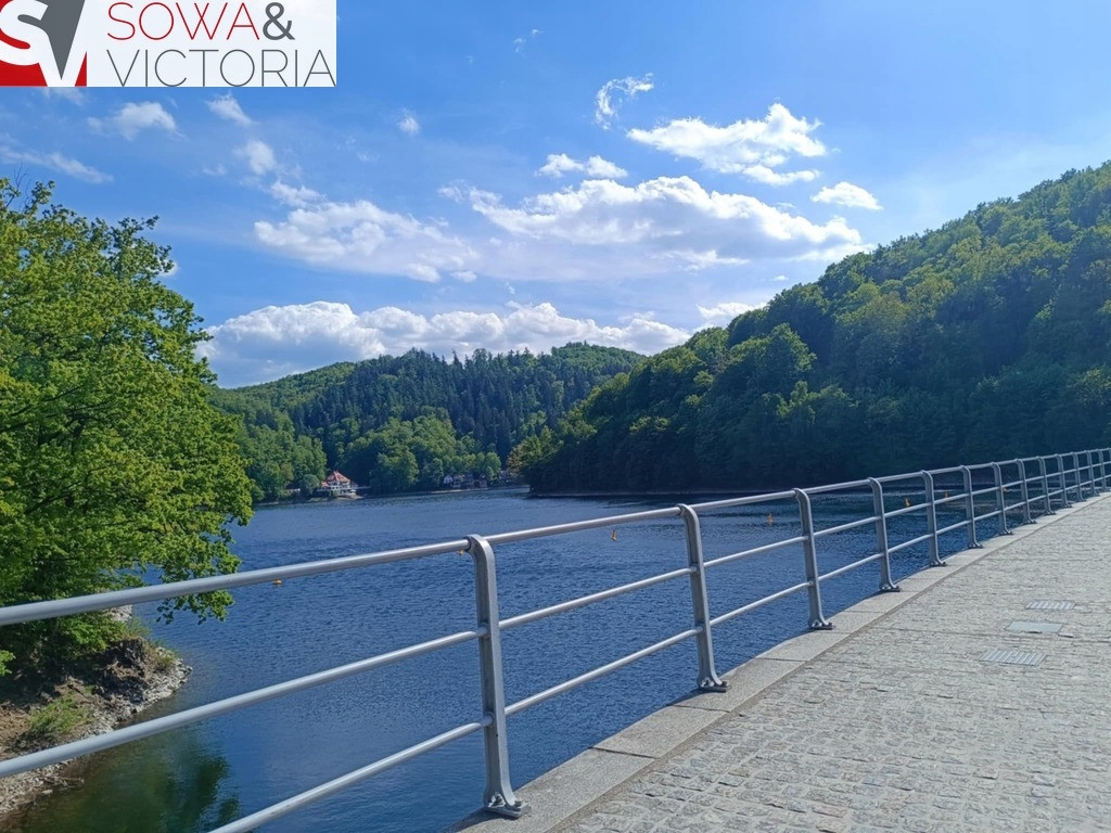 Działka, Michałkowa, Walim, Wałbrzyski, 8830 m²