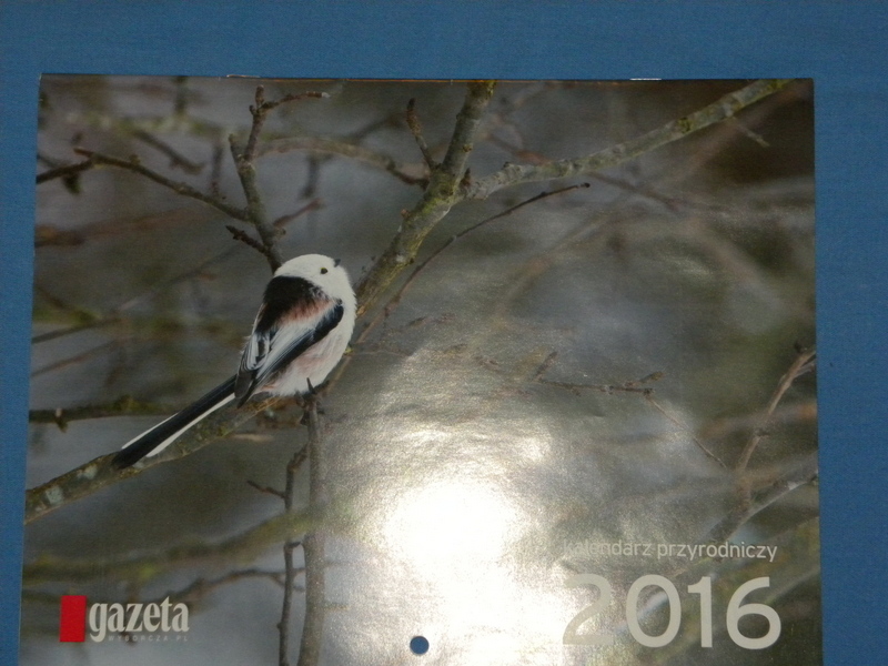 Kalendarz Wajraka 2016