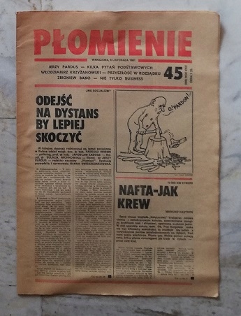 PŁOMIENIE 45 / 1981 - tygodnik ZSMP