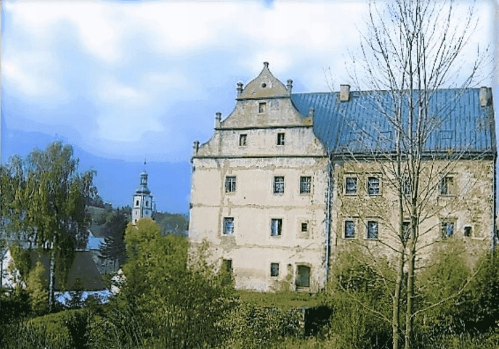 Pensjonat, Kłodzki (pow.), 1200 m²