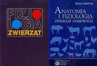 Fizjologia + Anatomia i fizjologia zwierząt