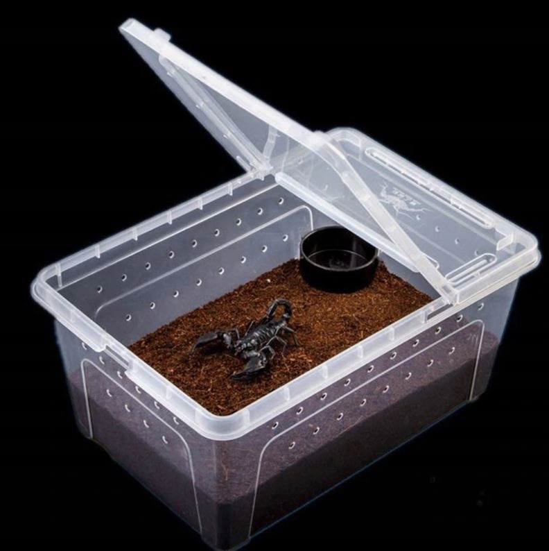 Terrarium Dla Węża Zbożowego Z Wyposażeniem TERRARIUM DLA WĘŻA ZBOŻOWEGO NAJTAŃSZE ALLEGRO OLX - 7797579524