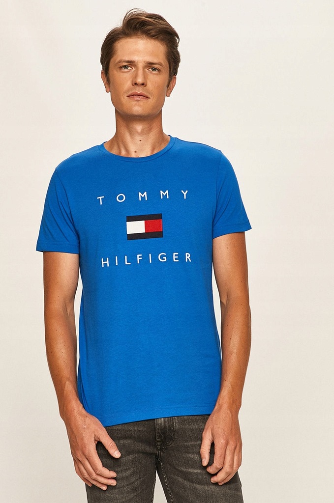 TOMMY HILFIGER KOSZULKA T-SHIRT L TS599