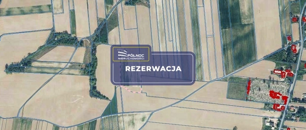 Działka, Adamowice, Gołcza (gm.), 12060 m²