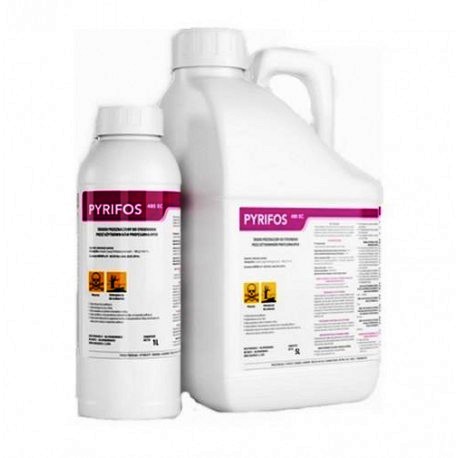 PYRIFOS 480EC 5l ŚRODEK OWADOBÓJCZY CHLOROPYRIFOS