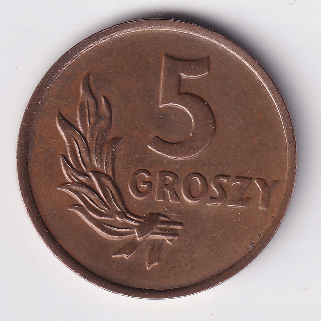 5 Groszy 1949r śr. 20mm Brąz