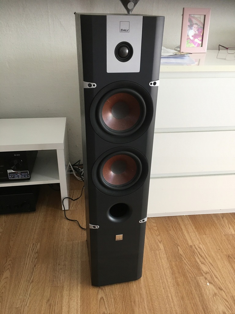 DALI LEKTOR 6