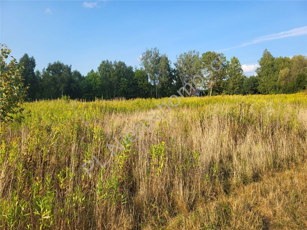 Działka, Piaseczno, Cegłów (gm.), 856 m²