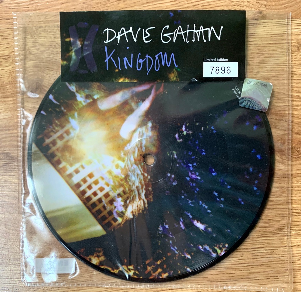 DAVE GAHAN - KINGDOM 7'' PICTURE [EU]