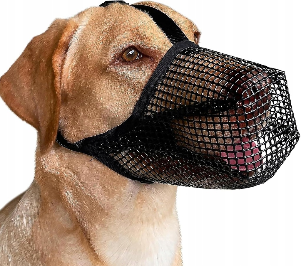 KAGANIEC DLA PSA DUŻEGO rozmiar L SIATKOWY ODDYCHAJĄCY BEZPIECZNY