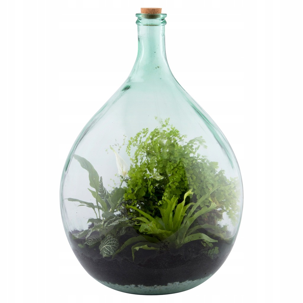 DIY zestaw las w szkle terrarium 55l