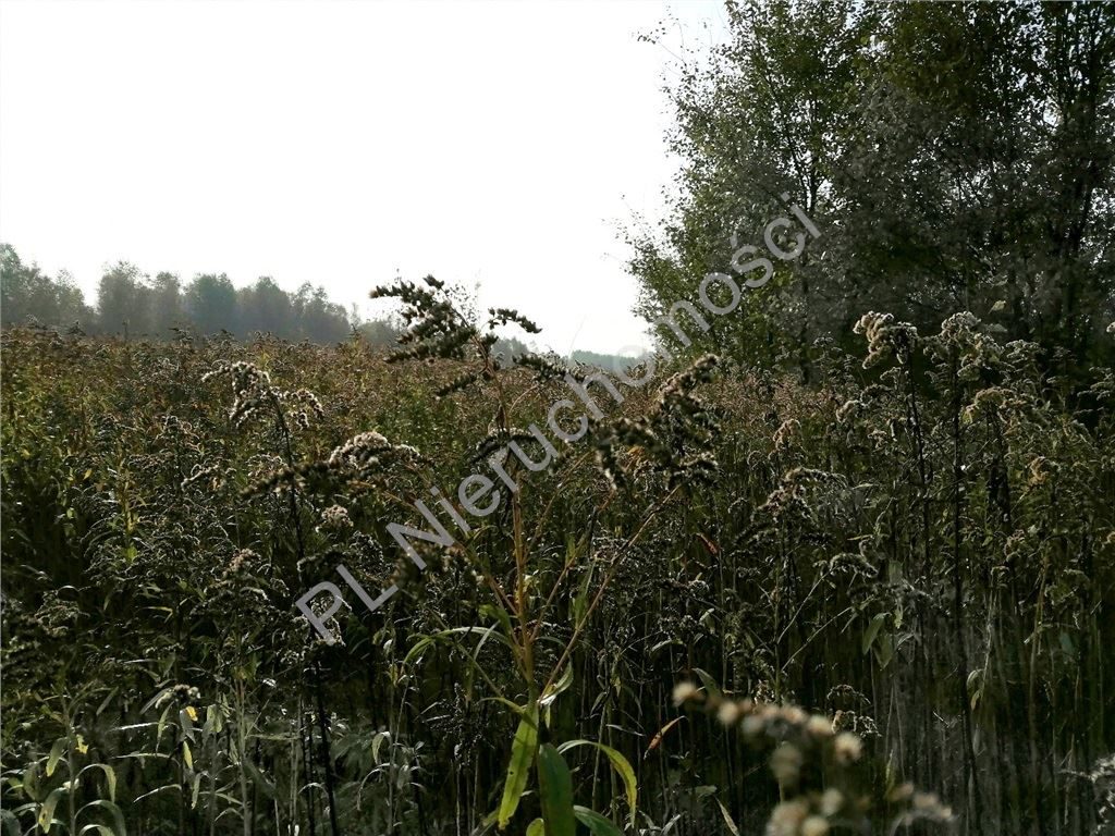 Działka, Rakówiec, Dobre (gm.), 3894 m²