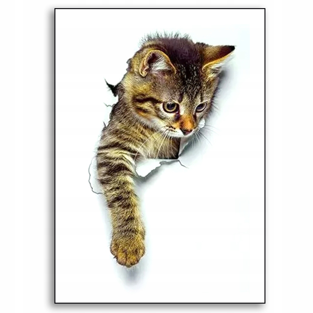 Fototapeta kot 3D kotki do kuchni łazienki rozm S 7490719391