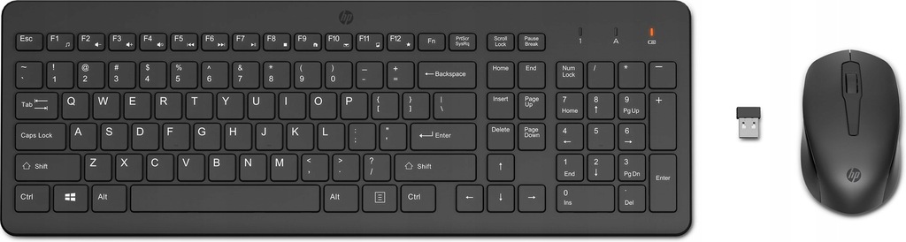 Zestaw klawiatura + mysz HP 330 Wireless Mouse and Keyboard Combo czarne 2V