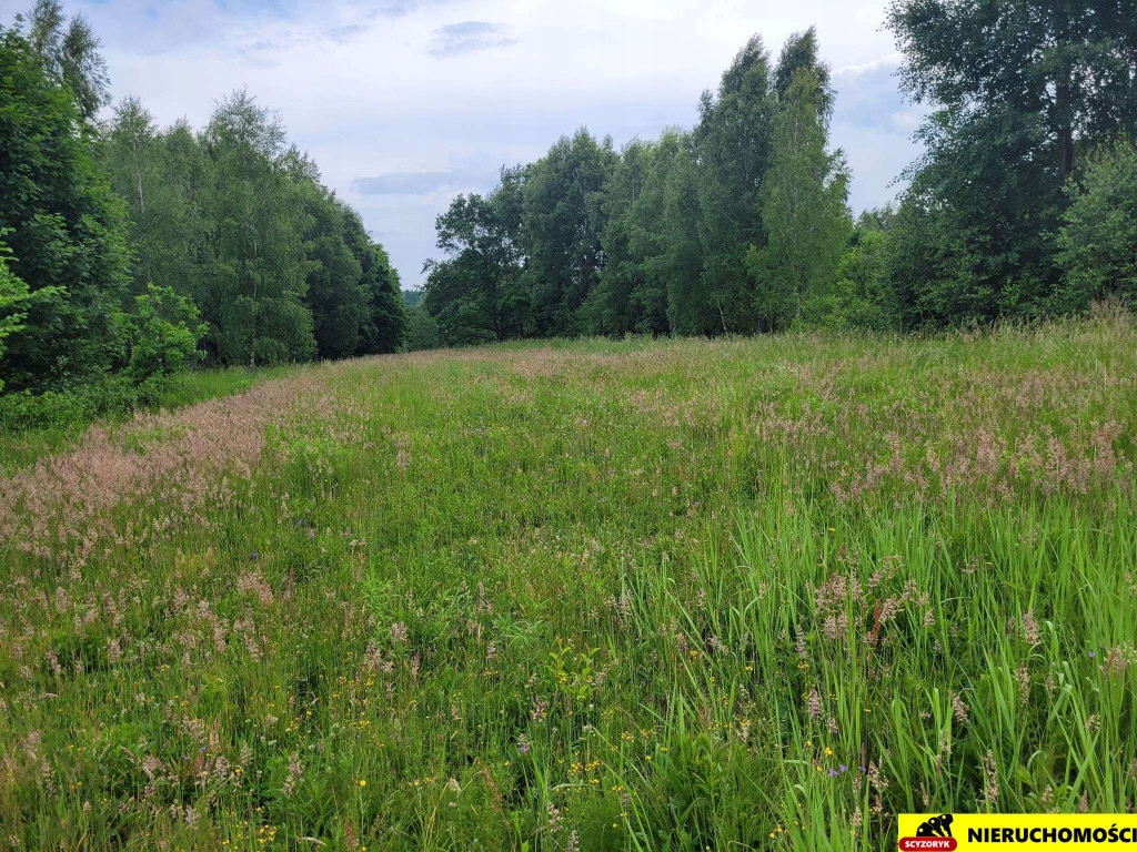 Działka, Kostomłoty Pierwsze, 2000 m²