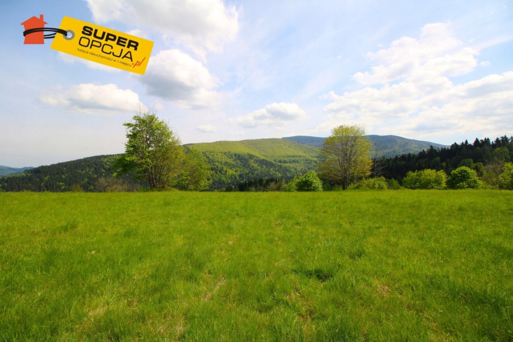 Działka, Zawoja (gm.), 18000 m²