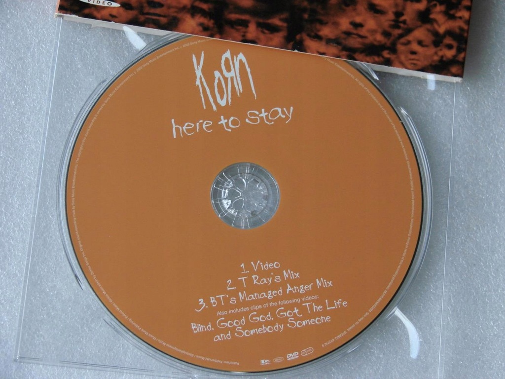 Купить Korn - Сингл Here To Stay, DVD, Великобритания, BDB: отзывы, фото, характеристики в интерне-магазине Aredi.ru