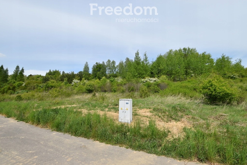 Działka, Szewna, Bodzechów (gm.), 3700 m²