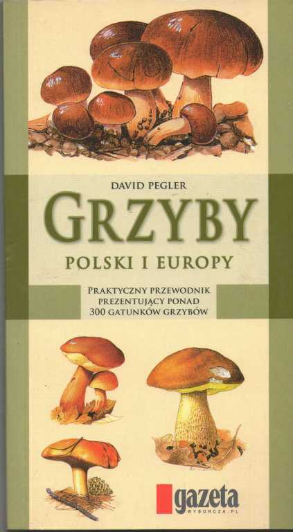 Grzyby Polski i Europy dla Zary