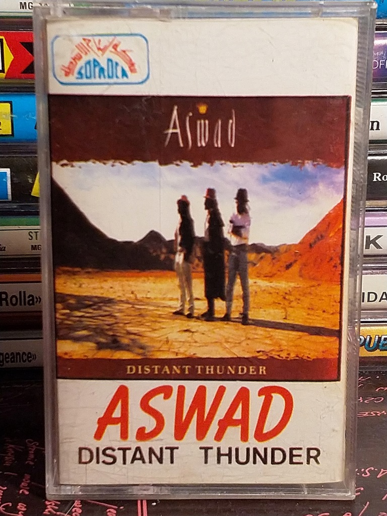 Купить ASWAD – ДАЛЕКИЙ ГРОМ – MC: отзывы, фото, характеристики в интерне-магазине Aredi.ru