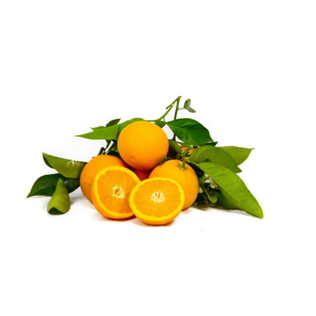 POMARAŃCZE WANILIOWE ekologiczne z Sycylii Własny Import od rolnika 3kg