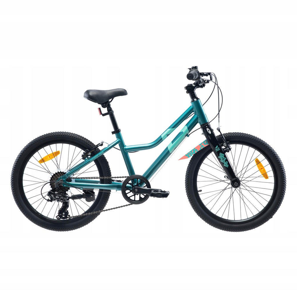 Dziecięcy Rower VIKING 20