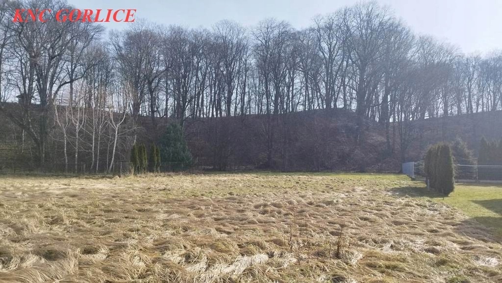 Działka, Gorlice, Gorlicki (pow.), 1000 m²