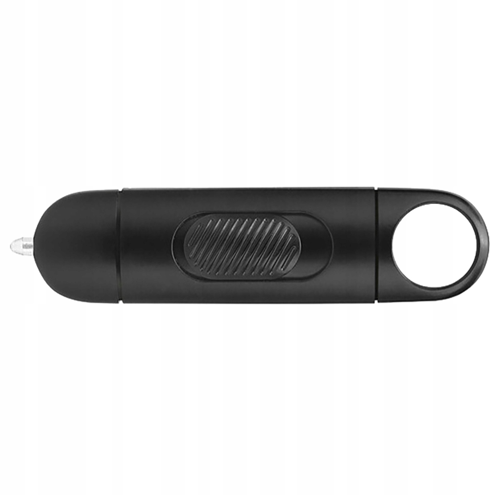 Car Keys Keychain Pen Carabiner