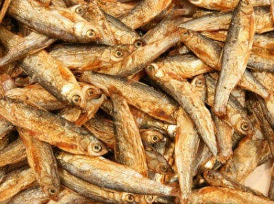 Suszona Stynka 250ml DLA ŻOŁWI RYB dla krewetek