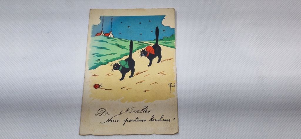 KOTY PRZEDWOJENNA POCZTÓWKA