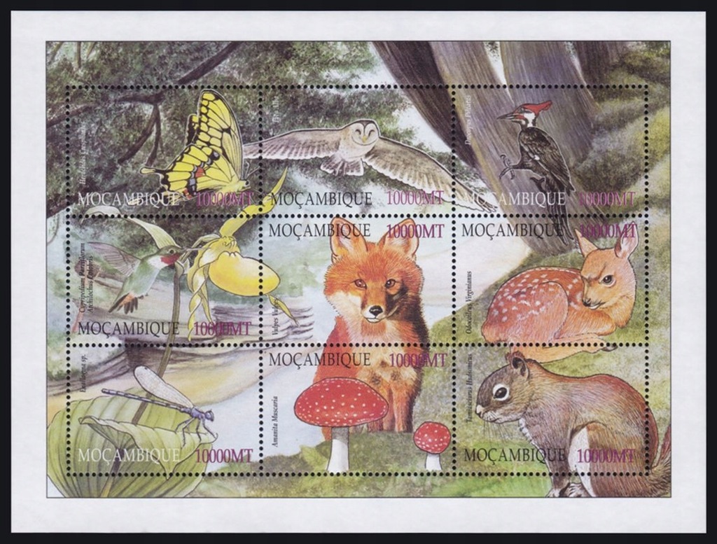 MOCAMBIQUE - PTAKI - MOTYLE - 2002 r. - MNH(**)