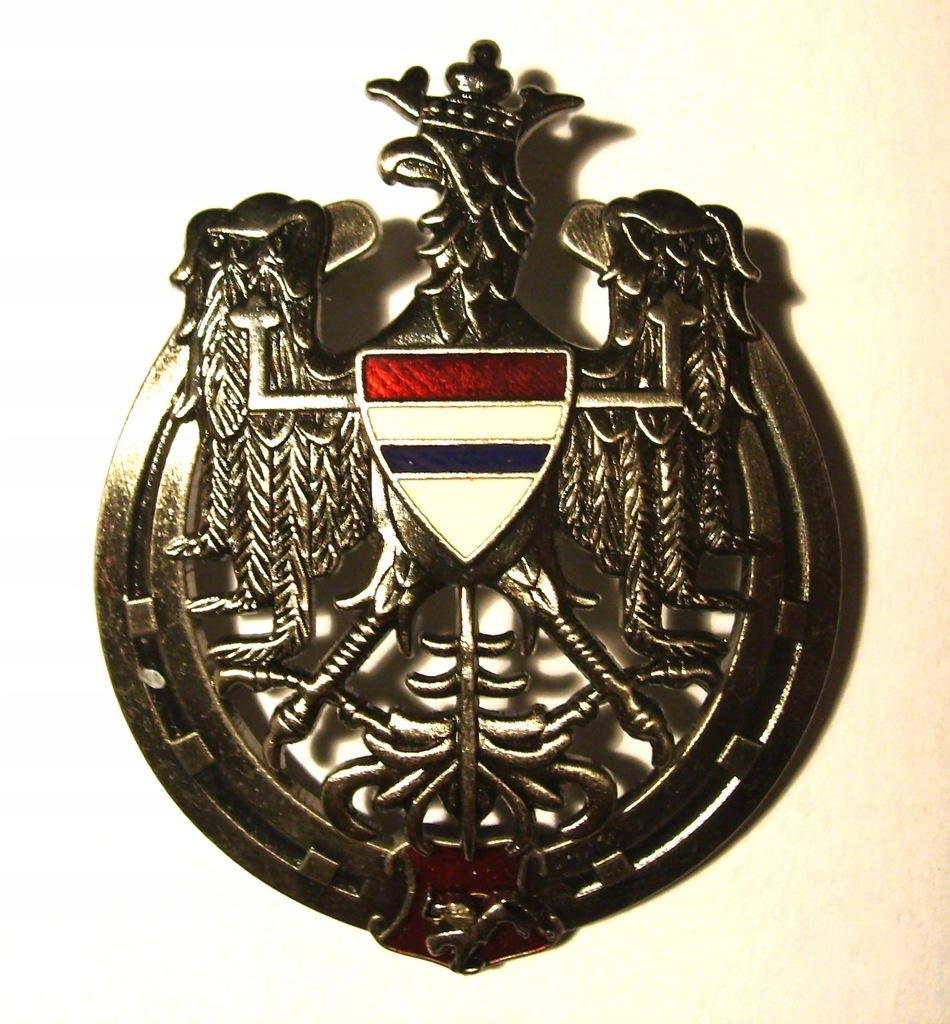 Odznaka 10 Pułk Ułanów Litewskich II RP