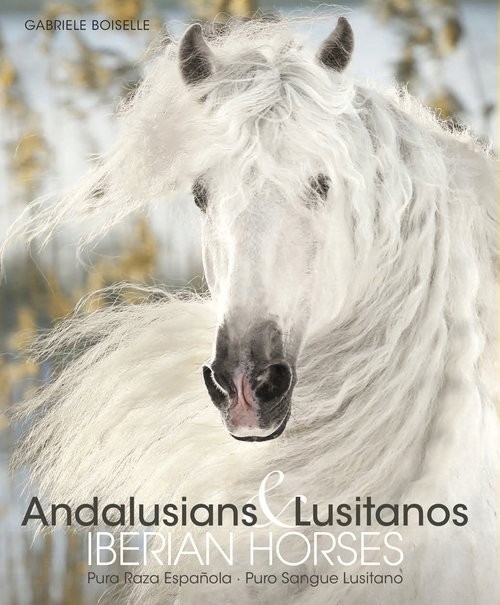 Andalusians Lusitanos [Boiselle Gabriele]