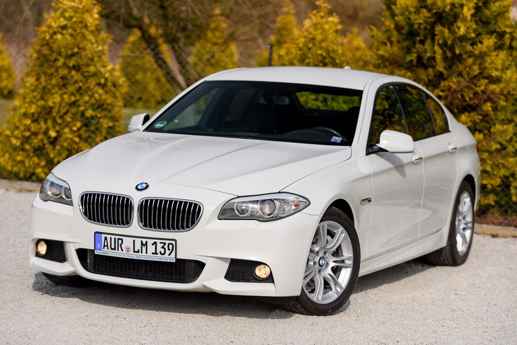 Купить BMW 525D 218КМ MPackage Сервис Безаварийный 155 000 км: отзывы, фото, характеристики в интерне-магазине Aredi.ru