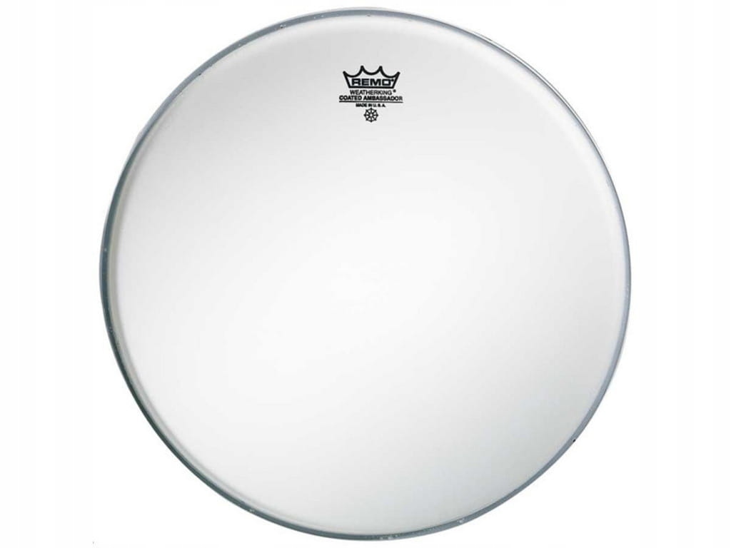 REMO Pre-International Ambassador Coated 16"