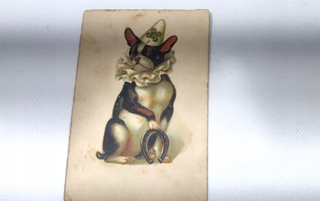 PIES PRZEDWOJENNA POCZTÓWKA Z 1921