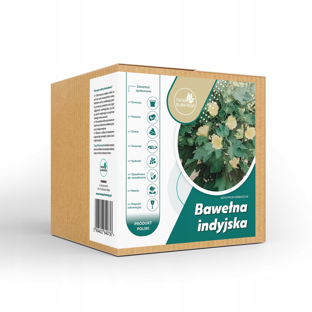 Zestaw do uprawy Bawełna indyjska Gossypium