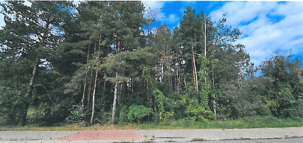 Działka, Ostrowiec Świętokrzyski, 3875 m²