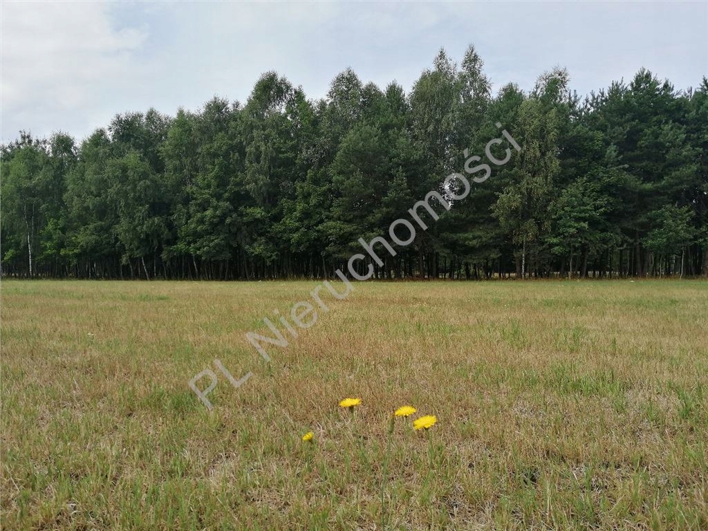 Działka, Rudzienko, Dobre (gm.), 3016 m²