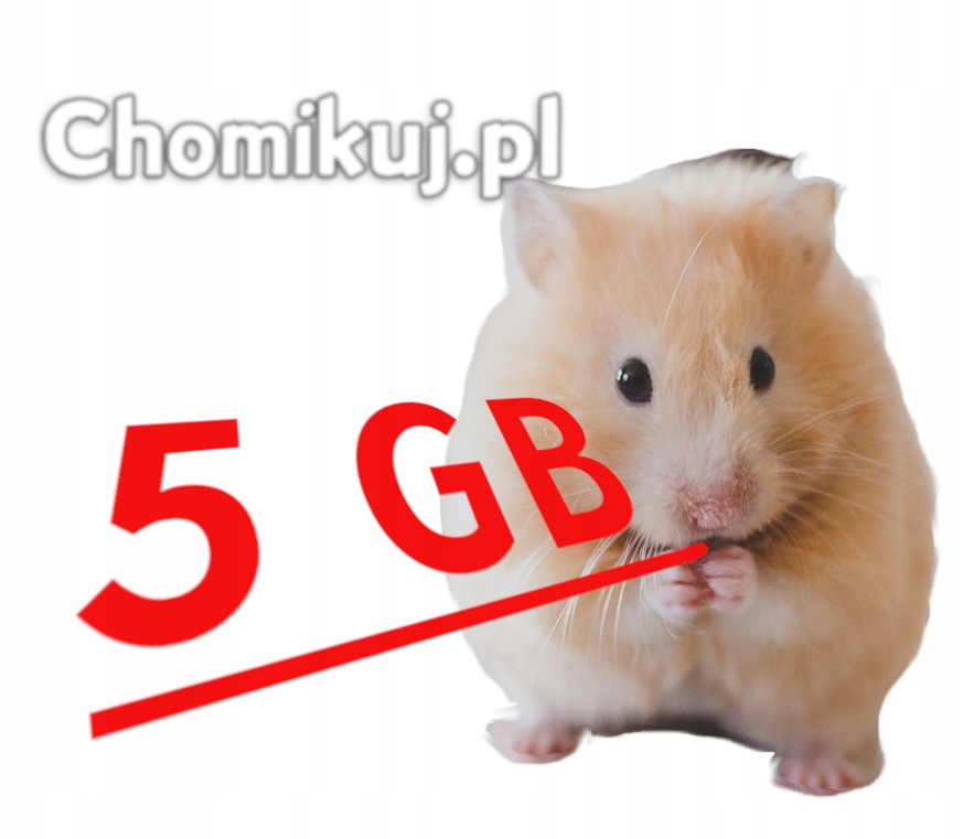 Chomikuj Transfer 5gb Bezterminowo 7594624397 Oficjalne Archiwum Allegro