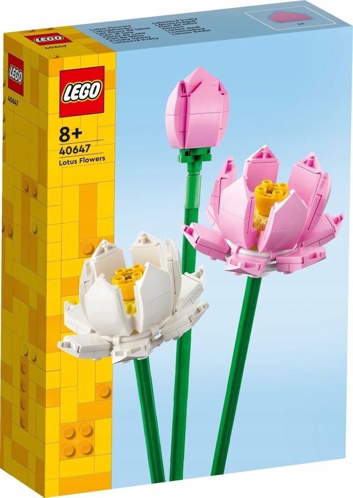 40647 | Kwiaty lotosu