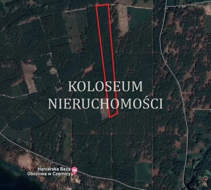 Działka, Czernica, Brusy (gm.), 80900 m²