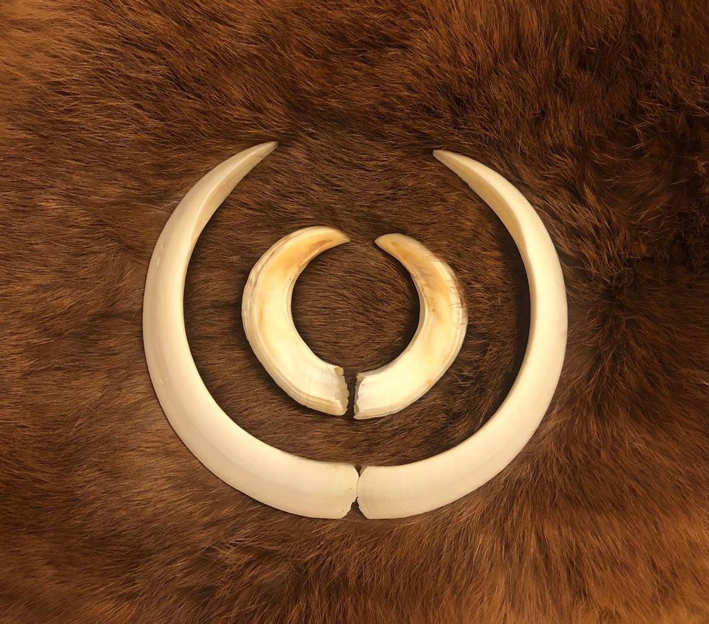 oręż dzika szable i fajki