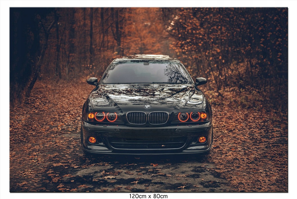 Obraz na płótnie Auto BMW 5 E39 M5 Płótno Automo