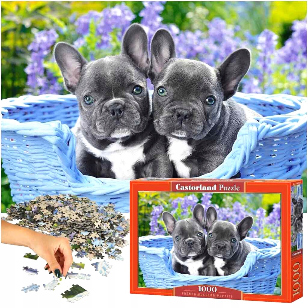 puzzle 1000 francuski buldog szczeniaki psy 104246