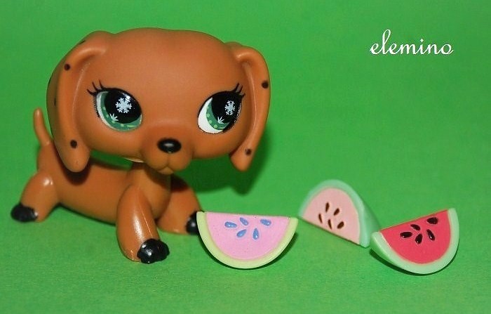 Accessories for lps discount